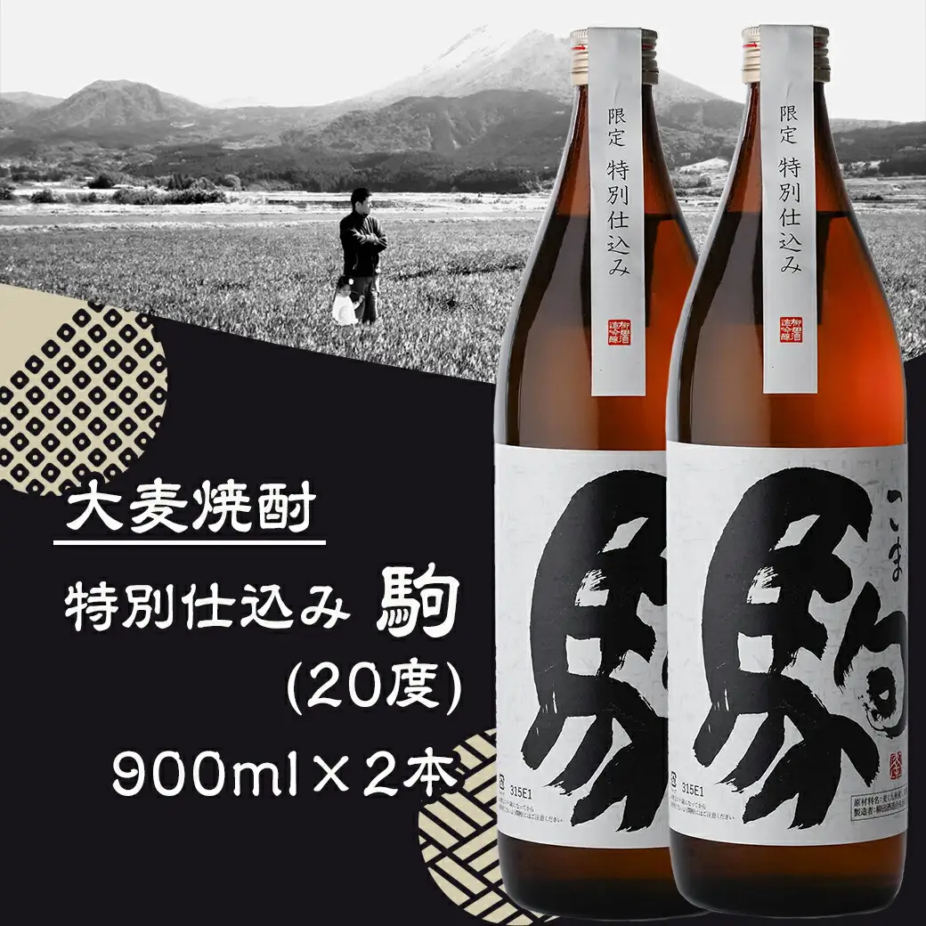【柳田酒造】≪特別仕込み≫駒(20度)900ml×2本セット_AA-2206_(都城市) 大麦 焼酎 駒 20度 900ml 2本