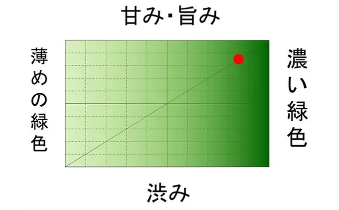 初物深蒸し水出ティーバッグ(5g×20個)×3袋 お茶 緑茶新茶 無垢 粉茶 煎茶 ブレンド ティーパック