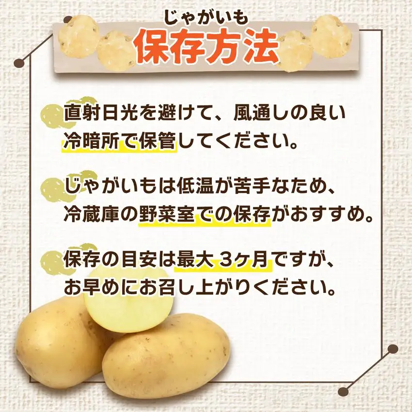 ＜先行予約＞北海道産 じゃがいも(メークイン) 約5kg【55250841】