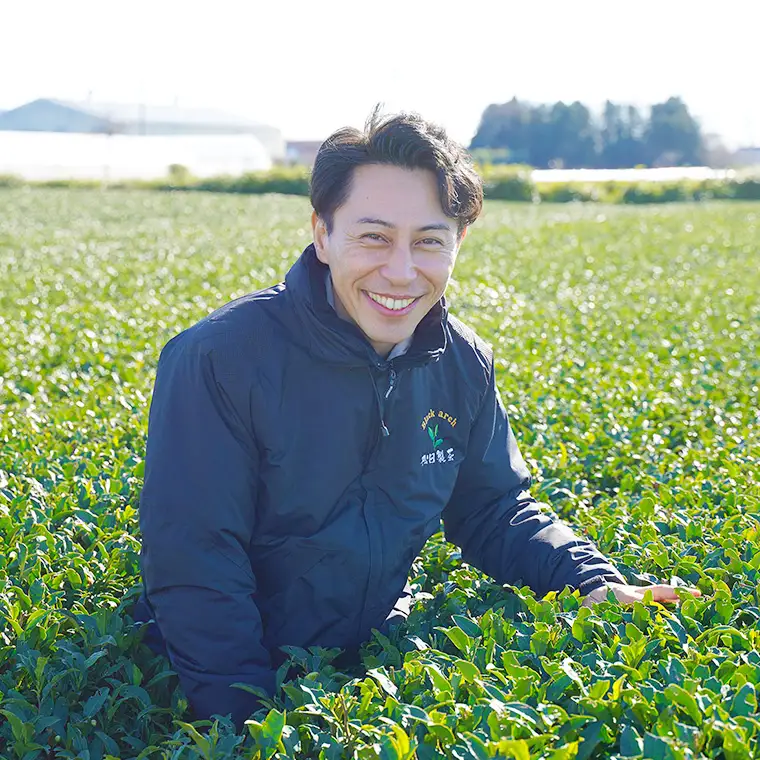 猿島茶 ティーバッグ6種セット 【茨城県共通返礼品／八千代町】 さしま茶 玄米茶 しょうが和紅茶 黒豆ほうじ茶  レモン緑茶 和紅茶つゆひかり 松田製茶 [DV002sa]