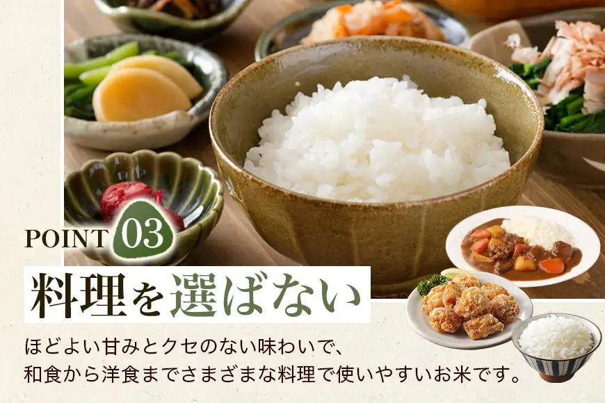 【ふるさと納税】ひのひかり 米 お米 玄米 10kg 10キロ 福岡県産 うきは市 国産 精米 ご飯 ごはん おにぎり お弁当 人気 おすすめ 家庭用 送料無料 新米 ストック 厳選 農家直送 大容量【JA福岡くるめ にじの耳納の里】