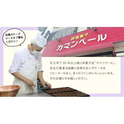 【冷凍】 パンプキン チーズケーキ 6号 × 1個 