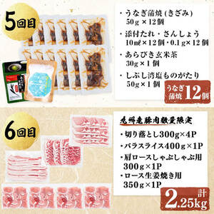 【定期便全6回】鰻と肉の贅沢定期便！鰻とお肉が交互に届くお楽しみ便 定期便 牛肉 ステーキ 鰻 豚肉 t0100-029