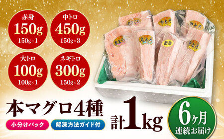 【全6回定期便】対馬産 本マグロ 4種 計1kg（赤身/中トロ/大トロ/ネギトロ） [WAH007] マグロ 本マグロ トロ 赤身 ネギトロ