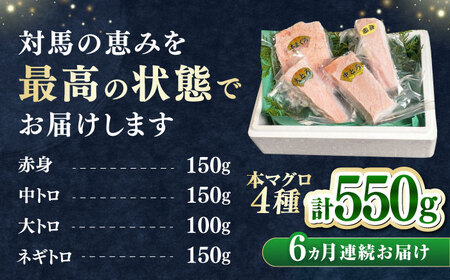 【全6回定期便】対馬産 本マグロ 4種 計550g（赤身/中トロ/大トロ/ネギトロ） [WAH016] マグロ まぐろ 本マグロ トロ 赤身 ネギトロ たたき