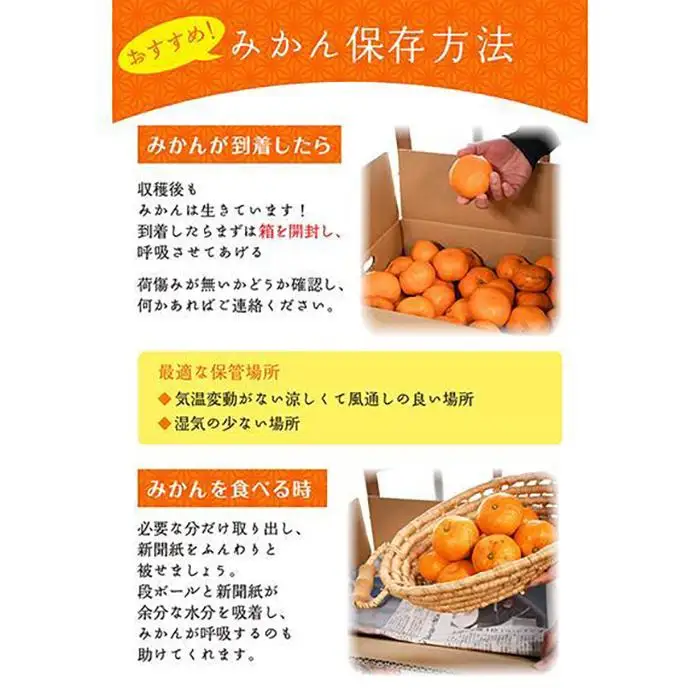 早生みかん 3kg 小粒サイズ 鈴木農園みかん
