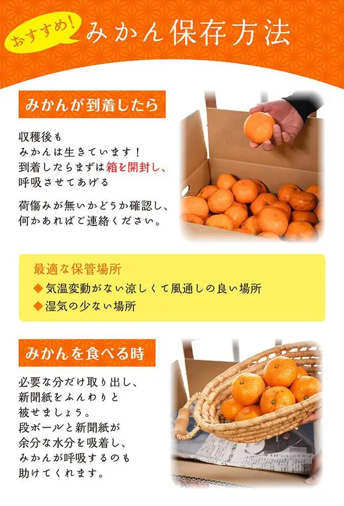 みかん 3キロ SMLサイズ 和歌山県海南市鈴木農園から酸味もおいしい みかん をお届け プチ 贈答 食べきり 少量 厳選 プレミアム お試し