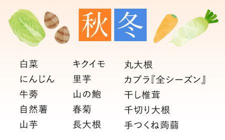 鮮度抜群「京野菜」 食べきりサイズ詰合せ(6～7品) ふるさと納税 福知山市 鮮度抜群 京野菜 野菜 食べきりサイズ 【fc-CM002】【ふくこめoffice】