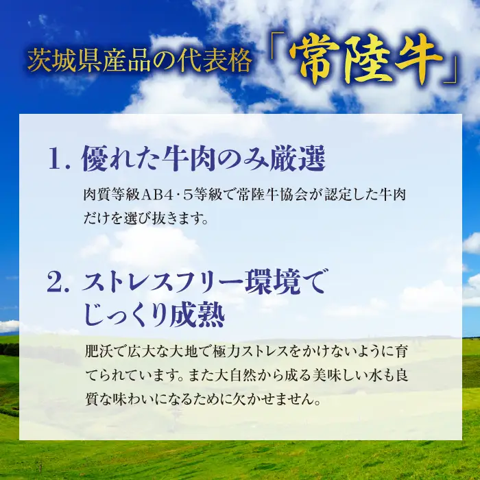 美明豚 × 常陸牛 スライス 約2kg セットB 【茨城県共通返礼品/行方市】 ブランド豚 しゃぶしゃぶ SPF 豚肉 モモ [DS005sa]
