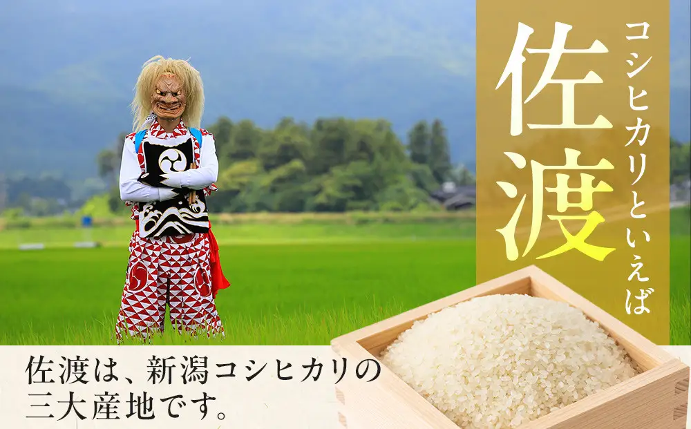 【令和8年産新米・先行予約】佐渡産コシヒカリ そのまんま真空パック 900g×6袋セット