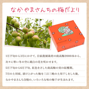 うす塩梅干し　約４００ｇ〔化粧箱入り〕《紀州南高梅》【入金確認後準備ができ次第順次発送】【AA90008-ard099】