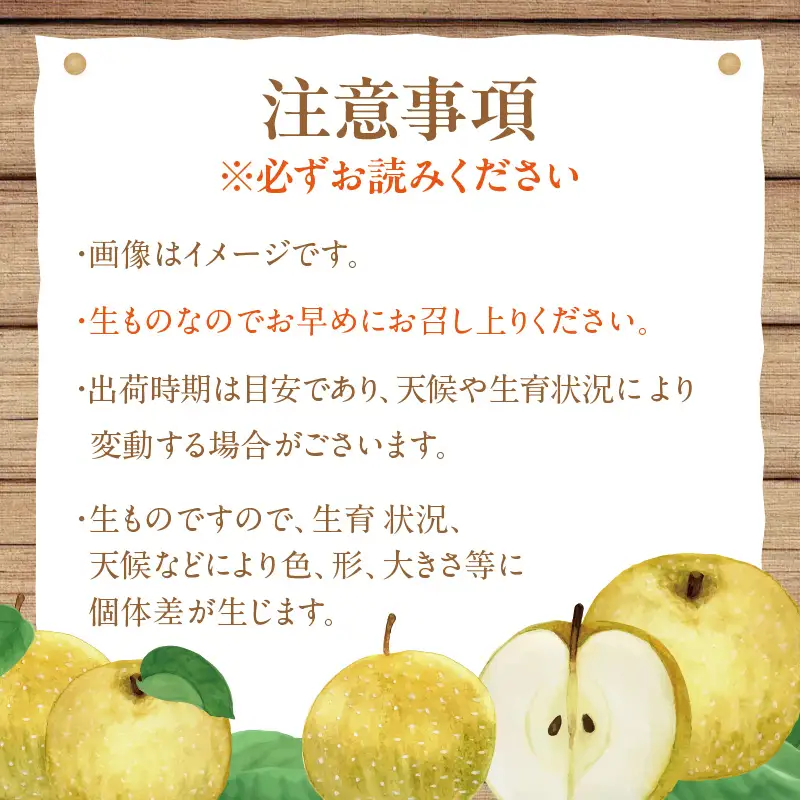 【先行予約】京丹後産 20世紀梨 5kg | 梨（2026年9月上旬～発送）