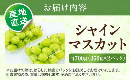 【先行予約】シャインマスカット 350g×2パック パック詰め BKAY006