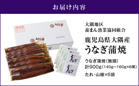 2181 鹿児島県大隅産うなぎ蒲焼6尾 計900g KN007-006 魚 鰻