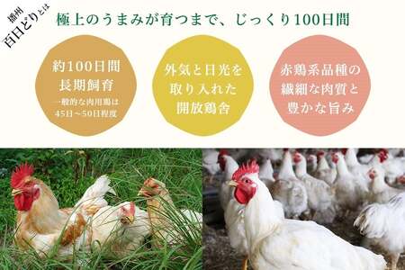 黒田庄和牛＆播州百日どり　鍋セット（小）【冷凍】