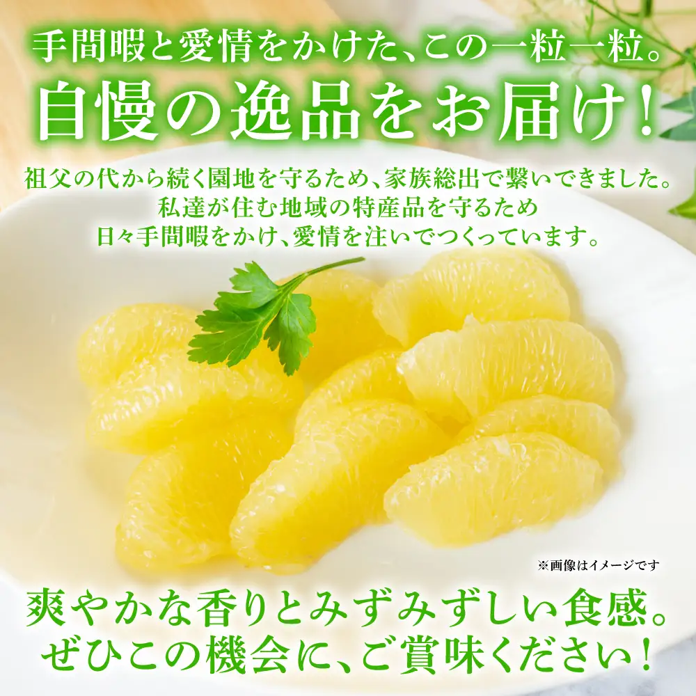 【先行予約】 晩白柚 Lサイズ 2玉 ばんぺいゆ 柑橘 【2026年12月中旬より順次発送】