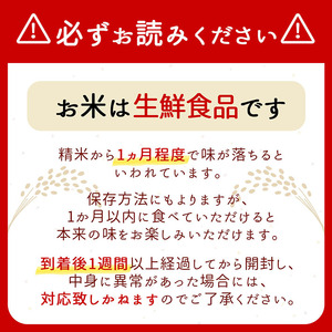 山形県庄内産 つや姫・はえぬきセット 10kg 5kg×2袋 令和7年産 2025年産 余目産 余目町農協 あまるめ ブランド米 つや姫 はえぬき 米 国産 単一原料米 山形 庄内平野 コシヒカリの原点、亀の尾発祥の地 庄内