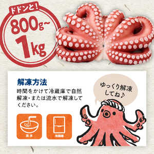 冷凍 茹でだこ 1尾 (約800g～1kg) たこ タコ 肉厚 正月 刺身 酢の物 唐揚げ たこ焼き 広島県 呉市 ku139-002-r