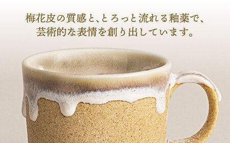 【美濃焼】RINPEN-鱗片- マグカップ＆小皿 セット ベージュ 【ヤマカ斎木製陶所】食器 豆皿 コーヒーカップ ティーカップ マグ おつまみ皿 薬味皿 ティータイム ベージュ おしゃれ レンジ対応 食洗機対応 送料無料 [MEQ003]