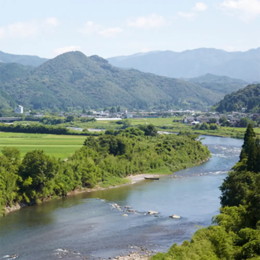 【定期便 年6回】 本格米焼酎 「白岳しろ」25度 720ml× 6本×年6回(偶数月発送) 高橋酒造 白岳 018-0480