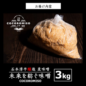 鹿児島県長島町産！未来を紡ぐ味噌 (3kg)【石元淳平醸造】cocoro-7014