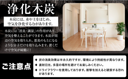 浄化木炭 飾り炭幸フクセット 1個 MLoop(エムループ) 株式会社浦幌木炭 浦幌木炭 飾り炭 消臭効果 st-p