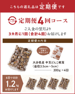 【定期便年4回（3ヵ月に1回）】大分県産中玉どんこ椎茸300ｇ 原木栽培 干し椎茸 訳あり_B063-019