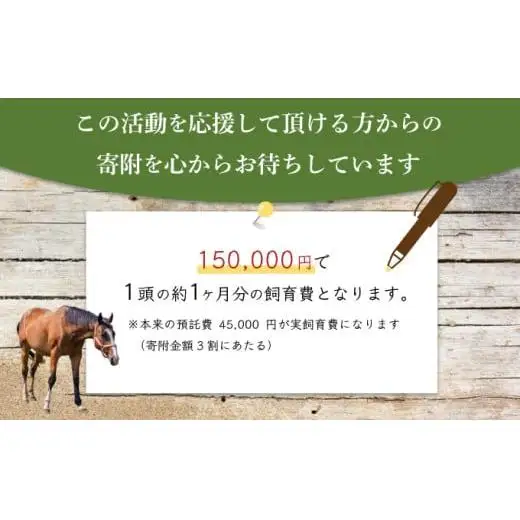 ホーストラスト北海道支援 5万円コース 引退馬 F21H-558