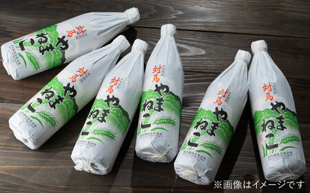 【全12回定期便】麦米焼酎 対馬やまねこ 900ml 6本 酒 お酒 地酒  [WAN035]