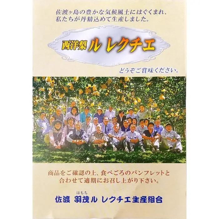 【先行予約】【2026年11月下旬より順次発送】梨 西洋梨 ル・レクチエ 2kg ( 5～6個 ) 【贈答用】