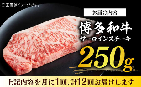 【全12回定期便】【厳選部位使用！】博多和牛A4以上サーロインステーキ250g×1枚 牛肉 肉 [ABBP047] 