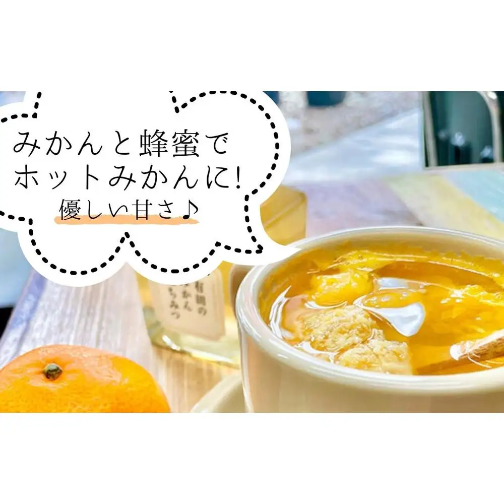 はちみつ 有田のはちみつセット （みかん蜂蜜210g 百花蜜蜂蜜210g 各1本） 和歌山県産 産地直送 【みかんの会】