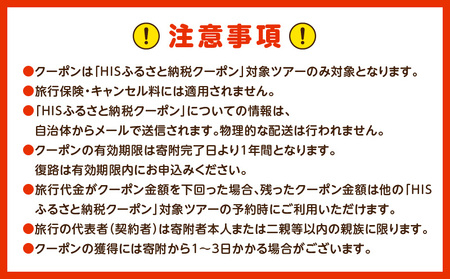 宮崎県宮崎市の対象ツアーに使えるHISふるさと納税クーポン 寄附額10000円 クーポン 宮崎県 ツアー