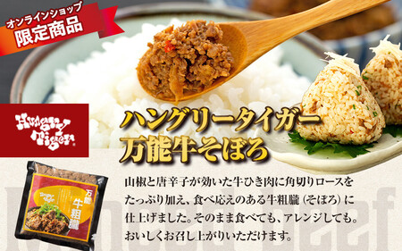 ハングリータイガー　ハンバーグ＆万能牛そぼろお取り寄せセット | ハンバーグ 牛肉 100 お肉 にく 人気 お取り寄せ おすすめ ギフト AEX0002
