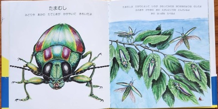 H-206　絵本「にらめっこしましょ　むっしっし」直筆サイン入り２冊セット