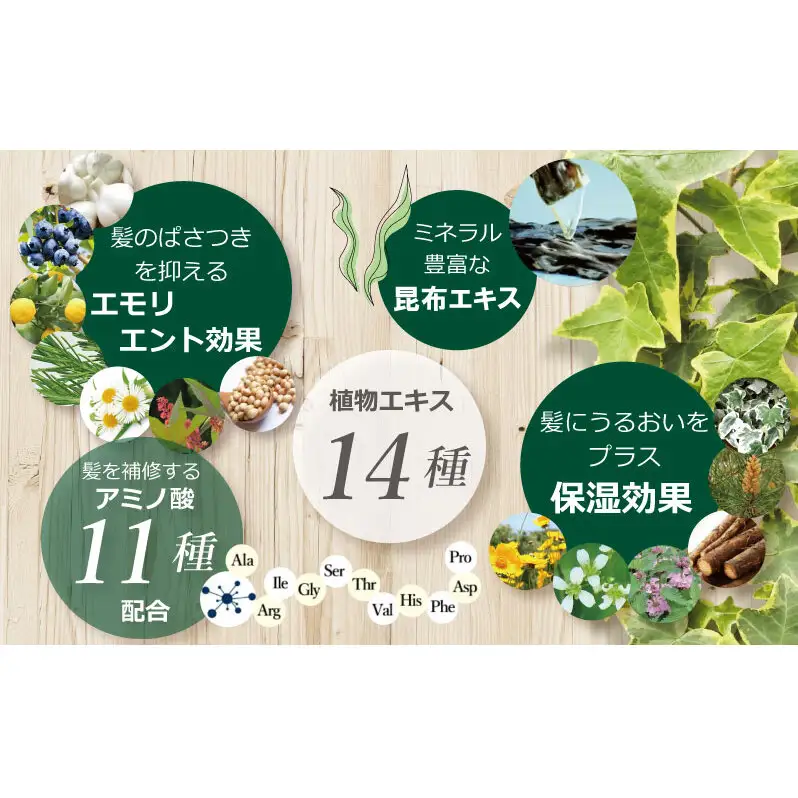 利尻昆布 ヘアカラー シャンプー ブラック 2本セット