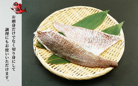 千葉市場直送　朝一活〆！マダイ1尾分（皮付ロイン・スキンレスロイン） 魚貝類 冷蔵 柵 養殖マダイ 新鮮 刺身 切り身 たいの刺身 たいの柵 つまみ 肴 