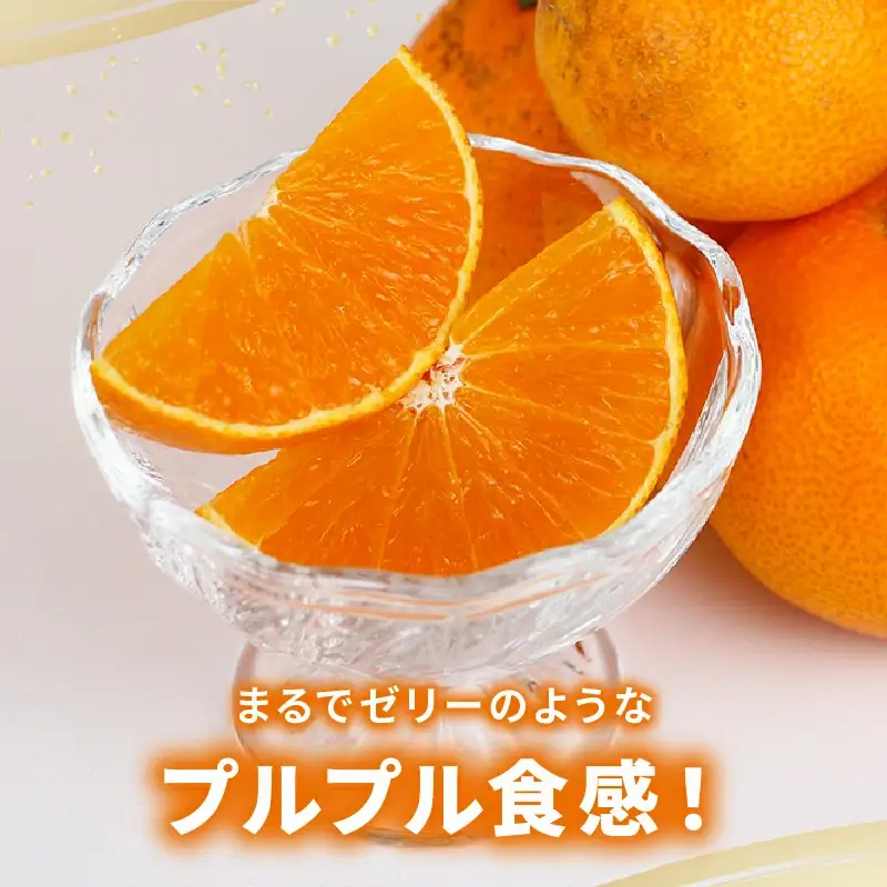 みかん 訳あり 愛果28号 5kg マル南フルーツ 【 訳あり 愛果 】 B015-106027