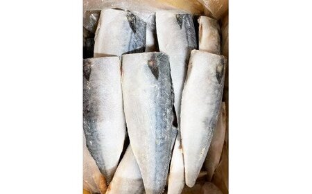  【ご家庭用】大容量！塩さばフィレ3.5kg　鯖 サバ 切身  / さば 塩さば 冷凍 塩鯖 鯖 サバ 塩サバ 切り身 おかず 人気 【uot749C】