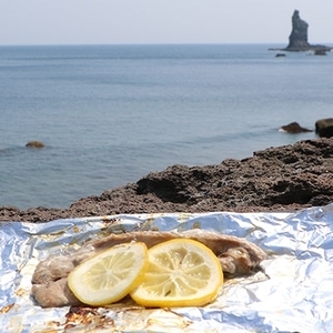 【訳あり】枕崎からの贈り物 かつおの腹皮【合計3Kg(12～16パック)】 A3-47_はらがわ 国産 規格外 鰹 カツオ トロ おつまみ 人気 送料無料_【配送不可地域：離島】【1166527】