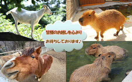 バーベキュー セット もちぶたを堪能できる 手ぶらバーベキュー 2名様分 選べるA・Bコース 食事券 体験チケット チケット もちぶた 和豚 もち豚 豚肉 ポーク お肉 肉 豚 精肉 焼き肉 焼肉 アウトドア スペシャルキャンペーン  バーべキューB