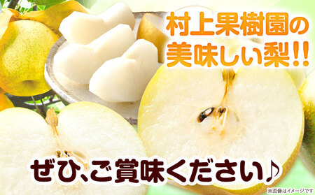 梨 なし 荒尾梨 約1.8～2kg 果物 和梨 村上果樹園 あきづき 甘太 秋麗 【品種の指定不可】 《8月上旬-9月末頃出荷》熊本県 荒尾市 2kg 前後 果物 フルーツ 旬 荒尾市産 国産 冷蔵 ギフト 贈り物 お中元 送料無料 美味しい梨 旬の梨 ジューシー梨 フルーツ梨