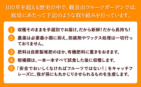 観音山みかんジュース「とろコク搾り」720ml×3本入 有限会社柑香園 《30日以内に出荷予定(土日祝除く)》和歌山県 紀の川市 フルーツ 果物 柑橘 添加物不使用 100%ストレートジュース