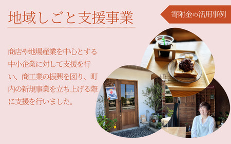 【返礼品なし】兵庫県 ふるさとづくり寄附金（9,000円分）9000 9000円 九千円 以下 25-41