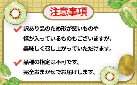 レッドキウイ 2kg 訳あり マル南フルーツ レッドキウイ  F010-106029