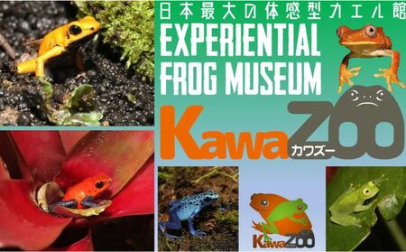 イズー カワズー 年間パスポート（大人2名） 共通入園券 ペア 爬虫類 動物園 河津町 観光 バナナワニ園 バガテル公園