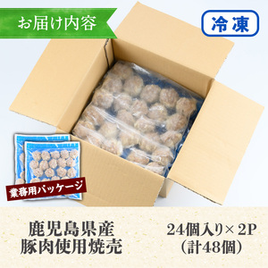 【訳あり】鹿児島県産豚肉使用 焼売 48個（24個×2P）業務用 国産 冷凍【00-008-15】