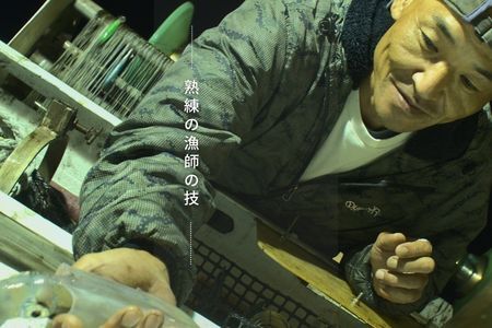 【高級白いか丸ごと 130g×3杯セット】ぷりぷり甘い高級白いかを朝どれ鮮度でお送りします! いか イカ 白いか ケンサキイカ 刺身 CAS CAS冷凍 父の日 母の日 バーベキュー ギフト