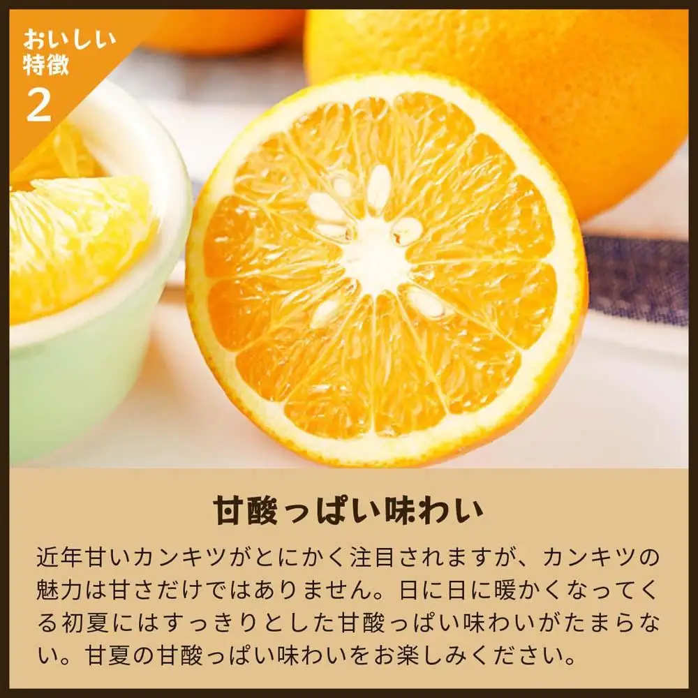 甘夏｜和歌山県海南市から産地直送でお届け｜4kg｜ご家庭用【2027年4月より発送開始】