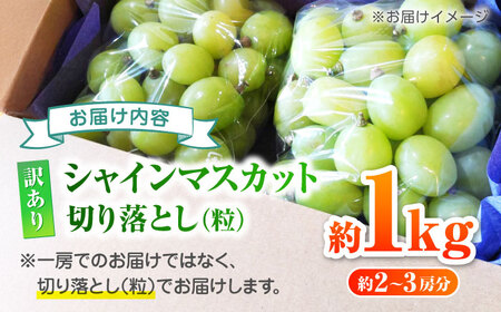 【先行予約】 訳あり シャインマスカット 切り落とし 約1kg  【合同会社 社方園】切り落とし ぶどう フルーツ 熊本県産 国産シャインマスカット [ZBZ006]